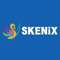 Skenix Infotech Skenix Infotech