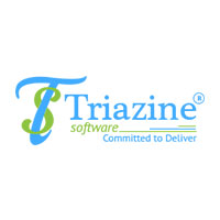 Triazine Software Pvt. Ltd. Triazine Software Pvt. Ltd.