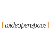 Wideopenspace Ltd Wideopenspace Ltd