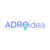 Adroidea Web Design Company