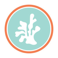 Anntoine Marketing + Design