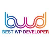 Best WP Developer Best WP Developer