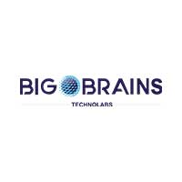 BIG BRAINS TECHNOLABS BIG BRAINS TECHNOLABS