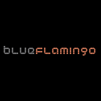 Blue Flamingo Solutions Blue Flamingo Solutions
