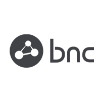 Business Network Consulting Business Network Consulting