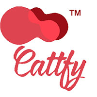 CATTFY CATTFY