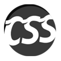 CSS PLAYER IT SOLUTIONS PVT LTD CSS PLAYER IT SOLUTIONS PVT LTD