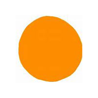 Ellie Wylie | Santa Monica Web Design Ellie Wylie | Santa Monica Web Design