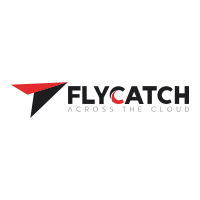 Flycatch Flycatch