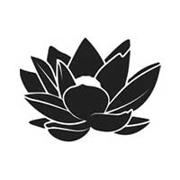 Lotus Initiative Lotus Initiative