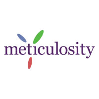 Meticulosity Meticulosity