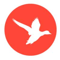 Optix Solutions Ltd Optix Solutions Ltd