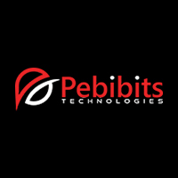 Pebibits Technologies Pebibits Technologies