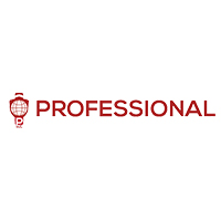 Professional Web Experts Professional Web Experts