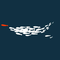 Red Minnow Interactive Red Minnow Interactive