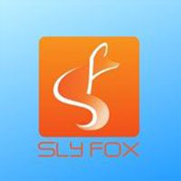 SlyFox Web Design and Marketing SlyFox Web Design and Marketing