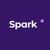 Spark DSG LLC Spark DSG LLC