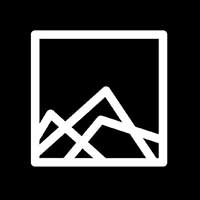 Steadfast Collective Steadfast Collective