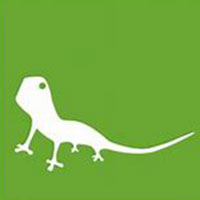 Visual Lizard Inc. Visual Lizard Inc.