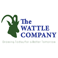 Wattle Wattle